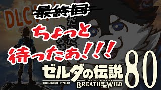 【はじめてのゼルダの伝説】＃80　図鑑うめr…＃80！？！！！【BotW】