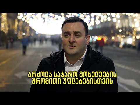 ბრძოლა საჯარო მოხელეების შრომითი უფლებებისთვის