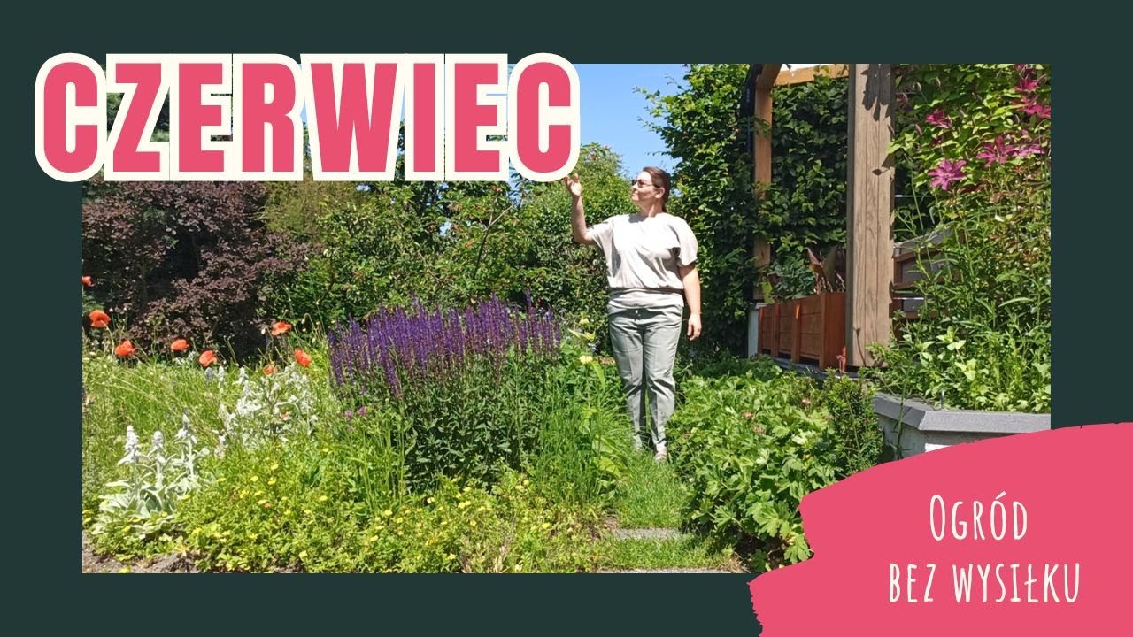 Co robić w czerwcu w samowystarczalnym ogrodzie? Wysiewy i sadzonki