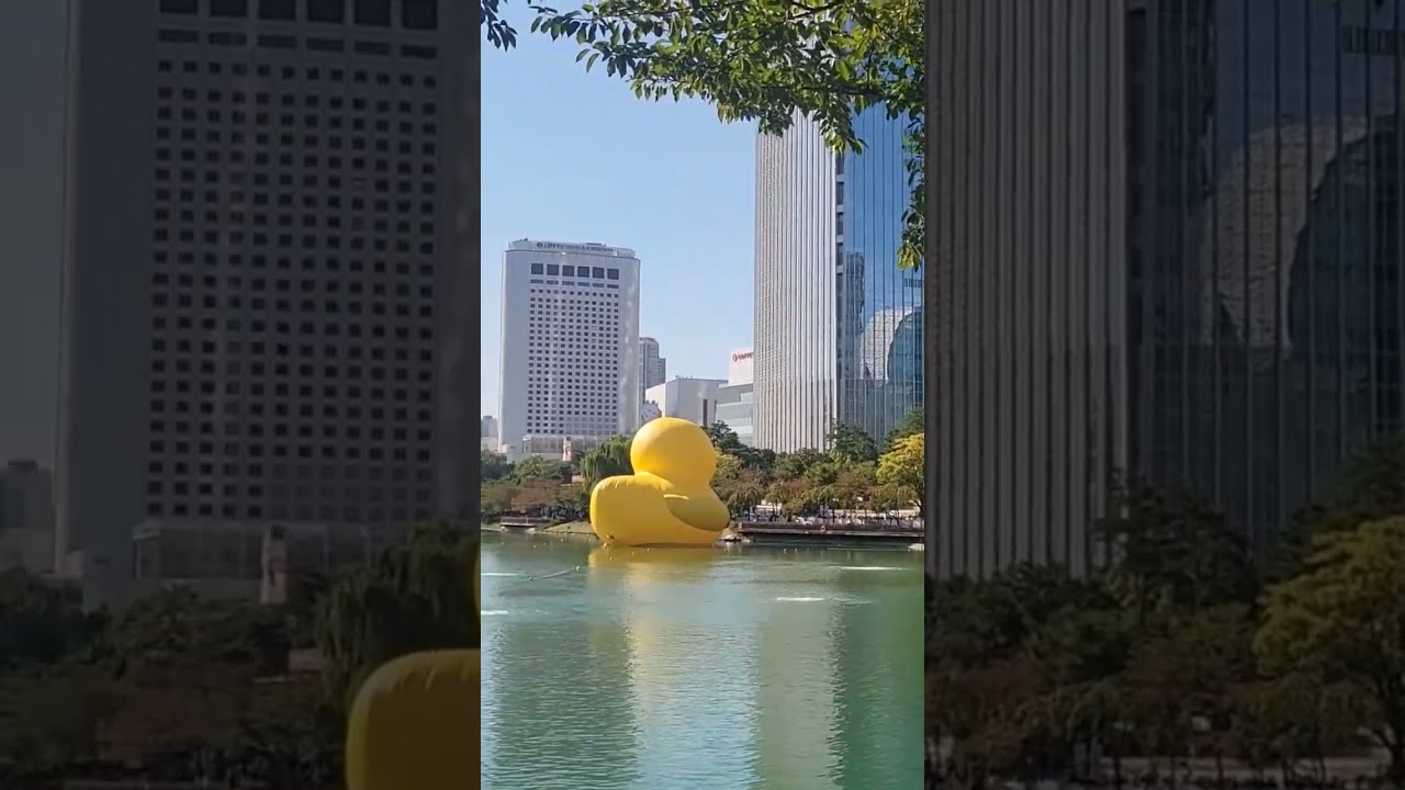 Seokchon Lake Rubber Duck, Songpa-gu, Seoul