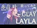 【女性が歌う】GLAY / LAYLA(キー+4) covered by 赤音 叶