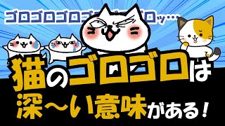 猫がゴロゴロと喉を鳴らす本当の意味とはゴロゴロ音を発する仕組み・理由を詳しく解説