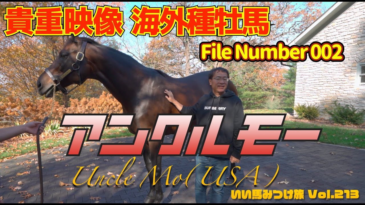 競馬・馬主】貴重映像❗️海外種牡馬‼️File Number 002