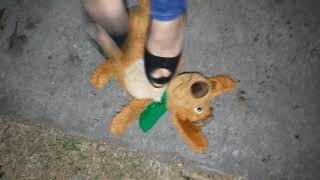 Debbie Trampling A Stuffed Dog