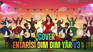 Entarisi Dım Dım Yâr V3 - Cover