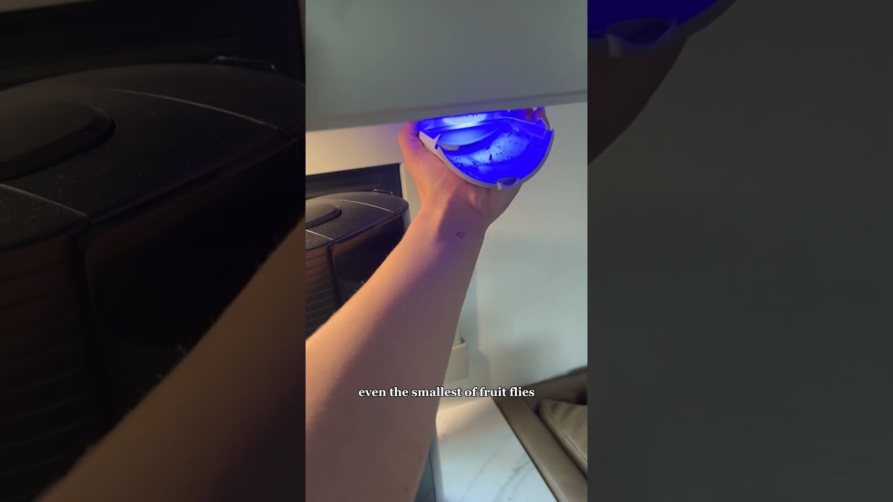 How I Keep Bugs Out Of RV