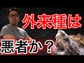 外来種の弁護人！【外来種は本当に悪者か？①】
