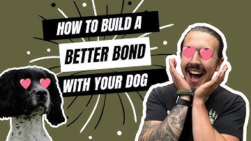 How To Build A Better Bond With Your Dog