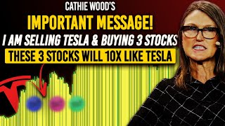 Cathie Wood Reveals Her Next 10x Bid, These Will Explode Like Tesla Buy & Hold For 7 Months