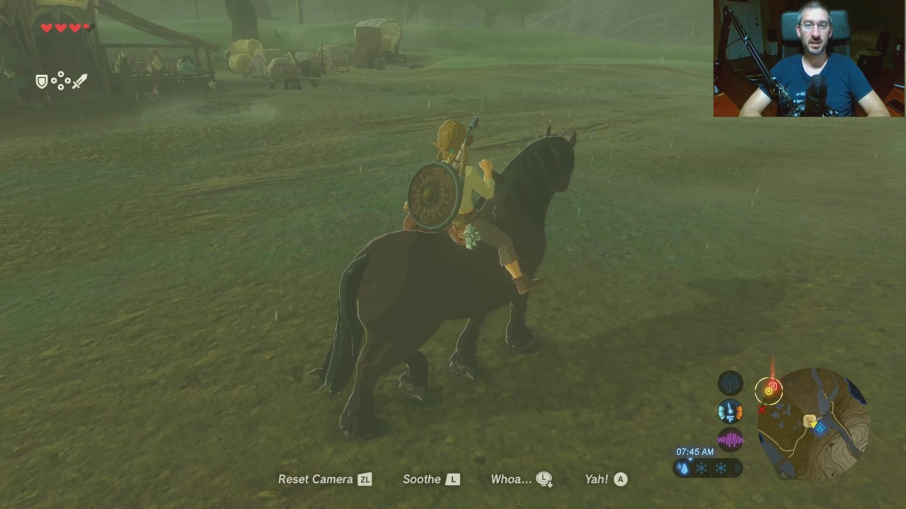 Zelda Breath Of The Wild How To Catch Fireflies / Miraali Miraman