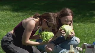 Lettuce-Eating Competition At University Of Minnesota Crowns New 'Head'