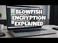 Blowfish Encryption: Secure File Protection & How to Avoid Vulnerabilities 🔐