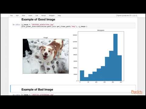 Advanced Computer Vision with TensorFlow : Loading and Exploring ImageNet Dataset | packtpub.com