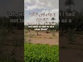 اكسبلور Allah ياويلتي ليتني لم أتخد فلانا خليلا لااله الا الله محمد رسول الله اكسبلور Allah ياويلتي ليتني لم أتخد فلانا خليلا لااله الا الله محمد رسول الله