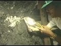 ESMERALDAS DE COLOMBIA (DOCUMENTAL)