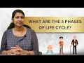 Dr anjaly explains 3 phases of life  dhatri ayurveda