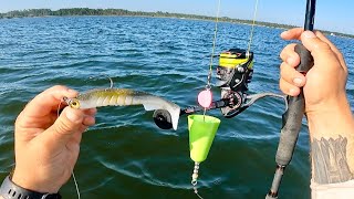 BIG Angry Fish Crushing Swimbaits Under Floats! (Incredible Bite)