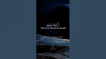 كُلُّ نَفْسٍ ذَائِقَةُ الْمَوْتِ ۖ ثُمَّ إِلَيْنَا تُرْجَعُونَ#القرآن #سورة_العنكبوت #تذكير #الموت