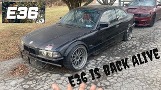 My Boy Steve Got His E36 BMW Started After A Year Of Sitting Of Outside The Garage!!!