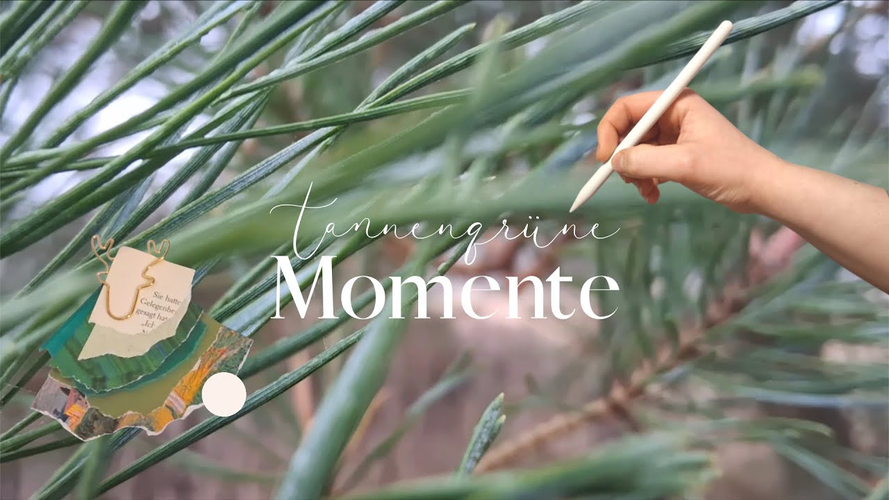 tannengrüne Momente 🌲 | Spaziergang, Collage & stille Kreativität