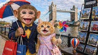 Monkey Dodo Has a Fun Travel Day in London with Adorable Kitty | DoDo Monkey Life