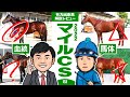 【マイルCS 2022】ソダシの天下統一か！？逆転を狙える伏兵はいるのか！馬体vs血統 有力出走馬解説レビュー【競馬 予想】