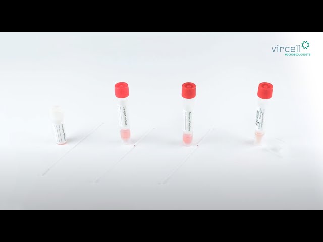 Watch Cómo usar los Medios de Transporte Vircell on YouTube.