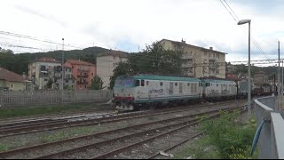 Transito Tigrotti