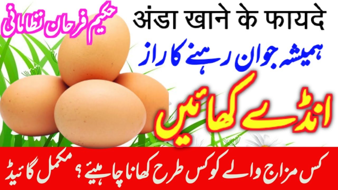 Egg Benefits anday khanay ka fayda Egg khane ke fayde Hakeem