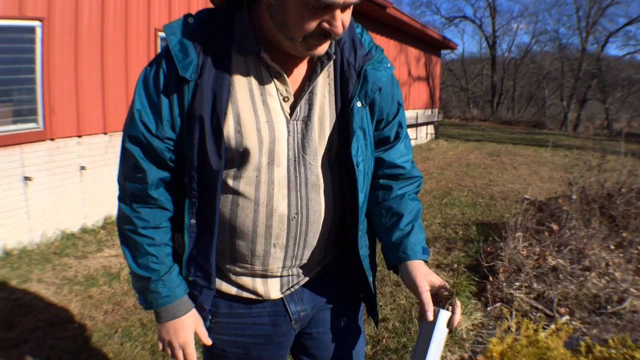 De Soto Christmas tree farm up for sale YouTube