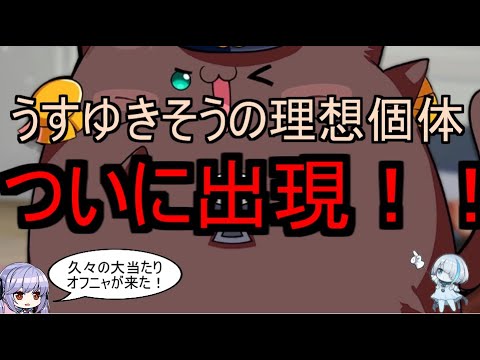うすゆきそうの理想個体ついに出現 Youtube