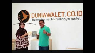 #Kumpulan#suarawalet #arif budiman#byhkarwalet#gratis# silakan download disini diskripsi videonya 👇👇