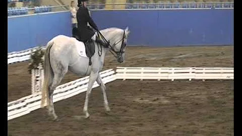 Susan Seipel Para Equestrian Dressage Freestyle to...