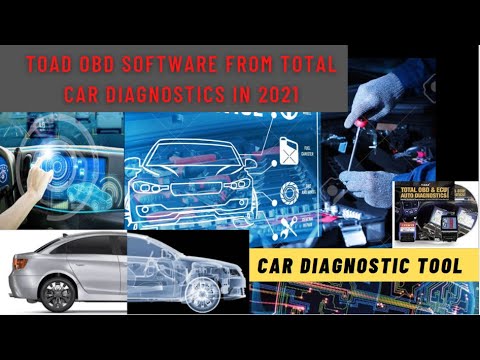 toad diagnostic review toad diagnostic review