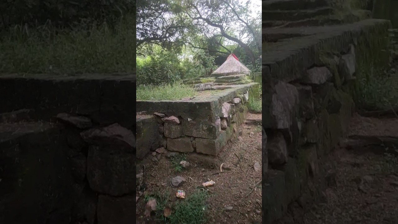 Sanjay Van Horror Place In Delhi | 