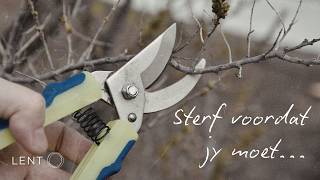 Sterf voordat jy moet... | Theo Geyser | 22 Maart 2026 | InVia Aanlyn