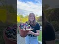 E-cigarettes: Vaping damages our environment - Testimony by Laura on TikTok #tobaccoexposed
