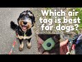 Which air tag is best for dogs