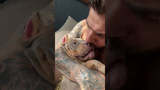 Precious Dog Demands Its Nose Back