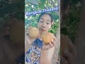 Cotton fruit santol #bangkok