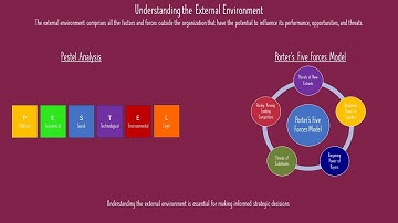 External Environment Analysis In Strategic Management