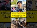 Illegal encroachment by Altaf Khafi gang removed in Jamnagar; farmhouse demolished.