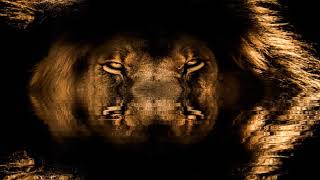 Jesus Lion Of Judah Second Coming African Lion Full Hd Relaxation Video screenshot 3