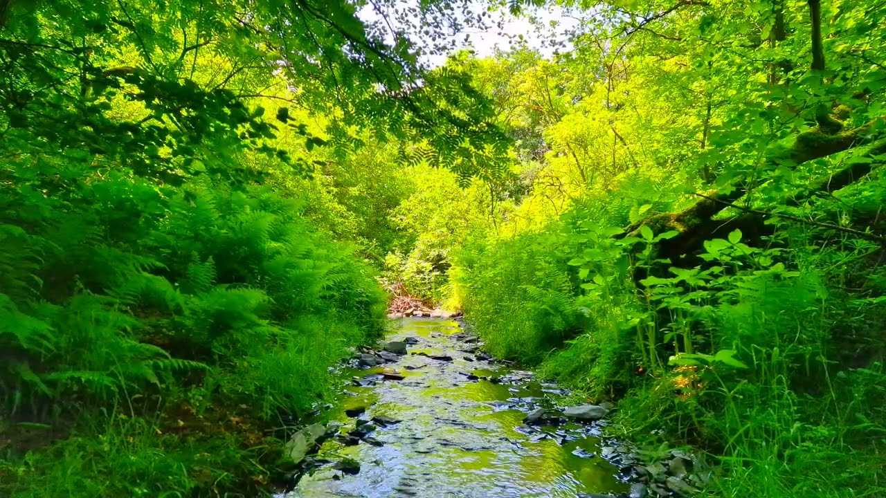 Расслабление и внутренний покой — расслабляющие звуки для успокоения мыслей и снятия стресса. Релакс