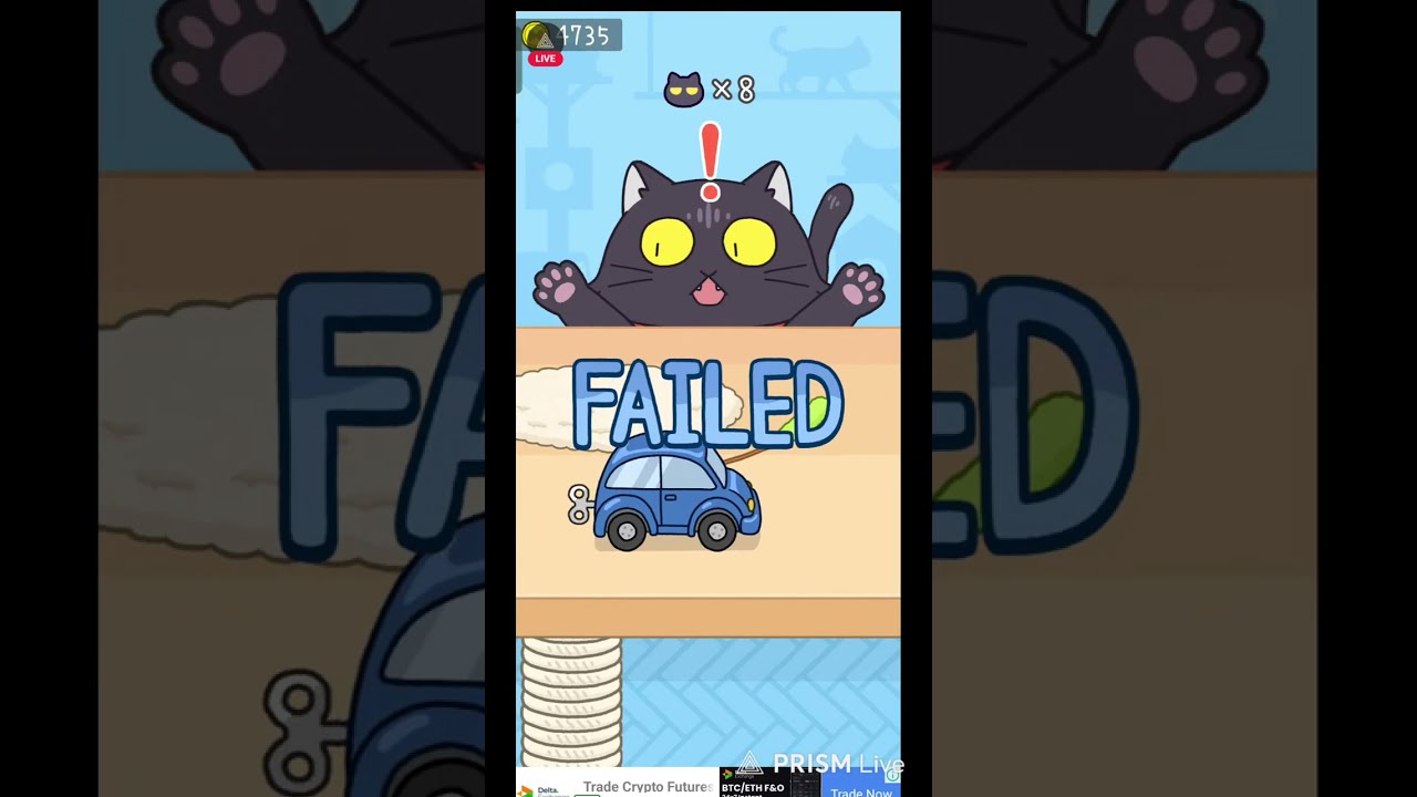 Can You Escape This ? 🤯| Hide And Seek Cat Escape #live day 8