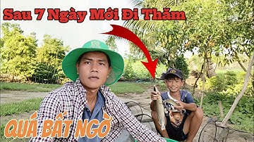 Đặt Lờ Lúc Nước Cao, Nay Nước Rút Qua Miệng Lờ – Ai Ngờ Trúng Đậm | HảoMol Vlog Tập 15