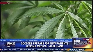 Medical marijuana law takes effect in Florida