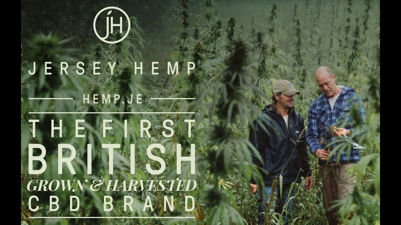 Jersey Hemp The first Britishgrown CBD brand. YouTube