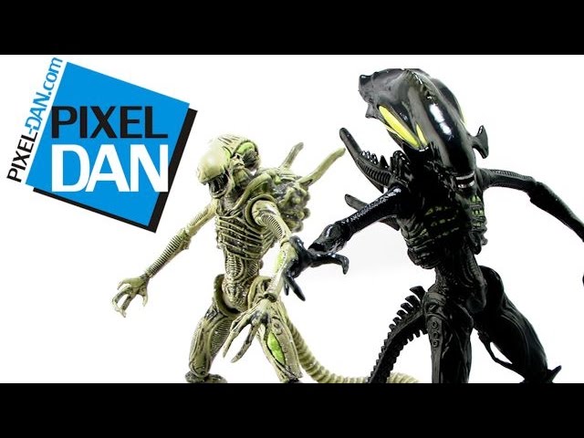 Action Figure Insider » #AlienDay426 Video – #Unboxing …er…Hatching the  @NECA_Toys Xenomorph Egg Set