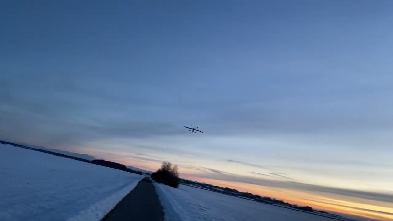 Wiesel nach einem Hilmar Lange Bauplan